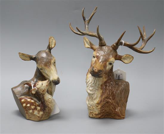 Two Lladro models of deers heads, King of the Forest and Forest Born tallest 26.5cm